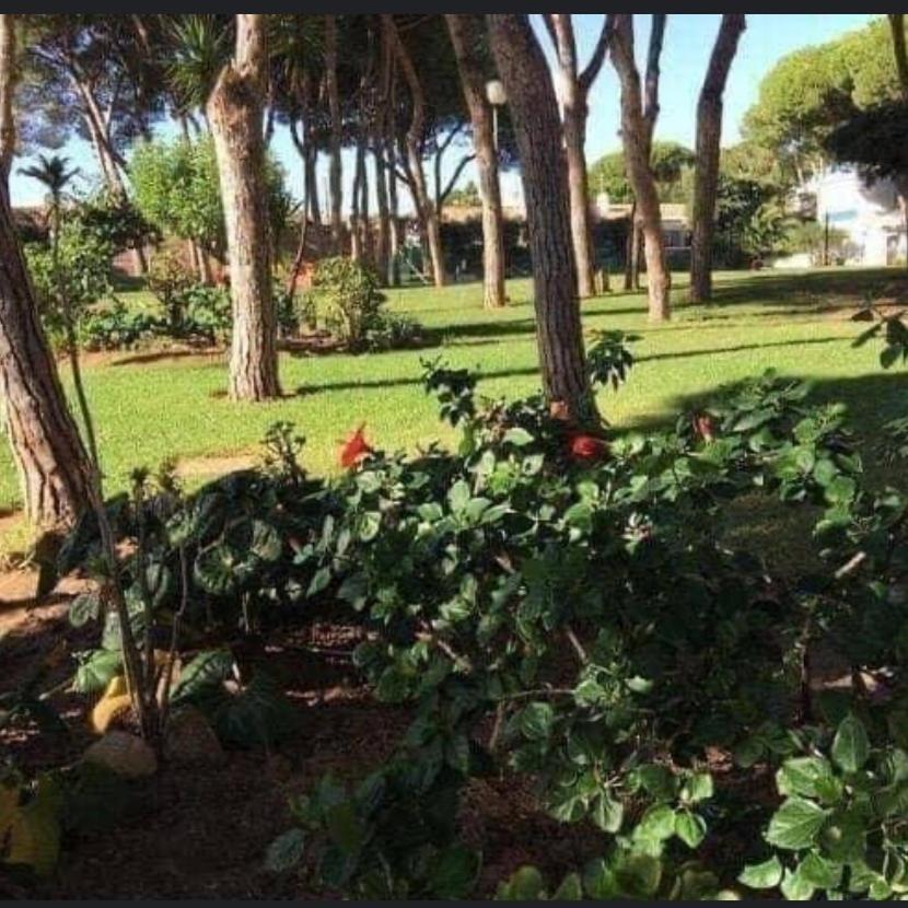Apartamento Calypso Apartment Sitio de Calahonda Exterior foto
